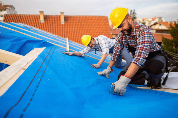 Best Rubber Roofing (EPDM, TPO)  in Wayne Heights, PA